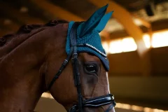 Equestrian Stockholm Aurora Blues gelding