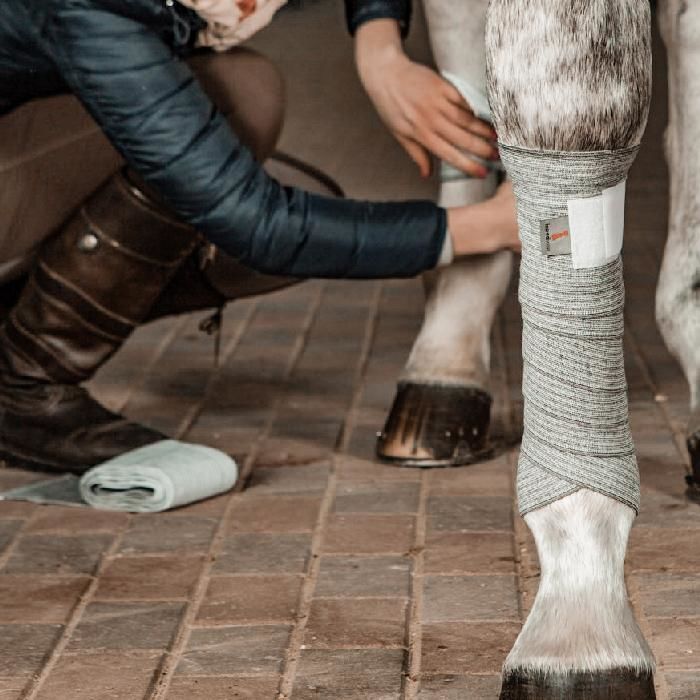 Cirkulační bandáže pro koně INCREDIWEAR EQUINE