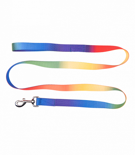 Lead rope rainbow
