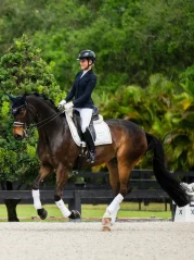 Polo Wraps Equestrian Stockholm White Perfection Gold