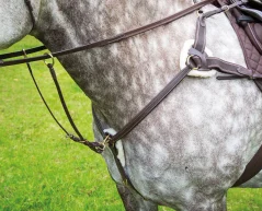 Pětibodový poprsník Salisbury SHIRES
