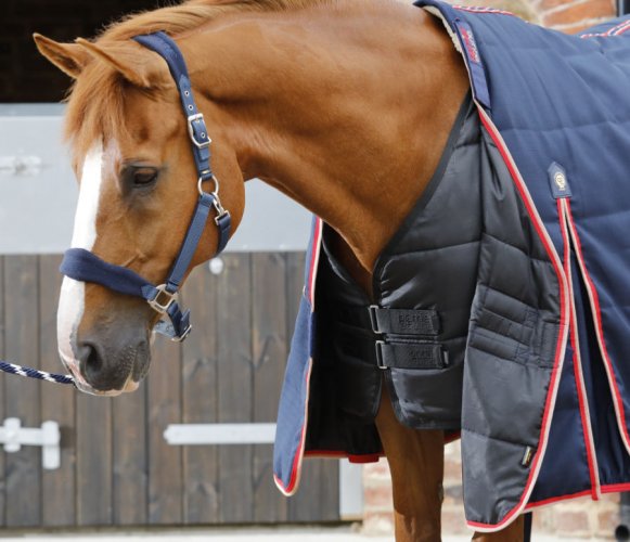 Stájová deka pro koně s krčním dílem Premier Equine Buster 100g