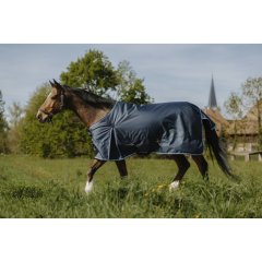 RIDING WORLD - Eco 1200D - Turnout rug 220g