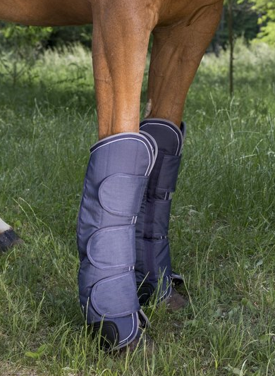 Přepravní chrániče EQUITHME TYREX 600 D Renforcé