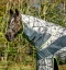 Horseware Amigo 3in1 CamoFly mesh blanket 600D