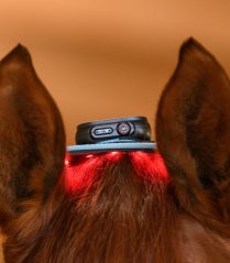 Flexible Infrarotmatte Waldhausen Health + Care