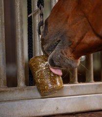 Bylinkový liz Waldhausen