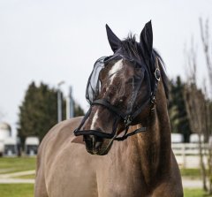EQUITHÈME HALTER + FLY MASK ANTI-UV PROTECTION