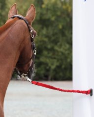 ARMA safety elastic tie