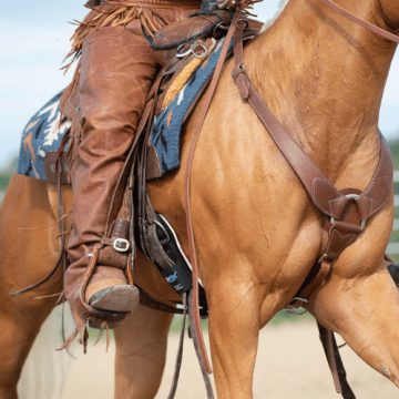 Western-Brustgurte und Martingale