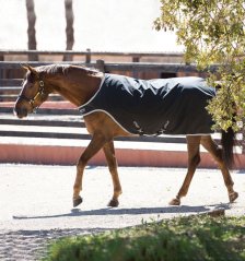 Walker deka Horseware Amigo, 200g