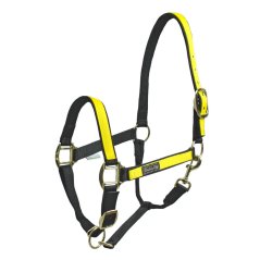 Nylonová ohlávka Umbria Equitazione Colored