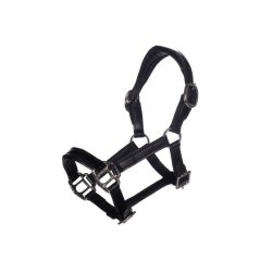Leathe halter Lacquer for Hobby horsing HKM Kids