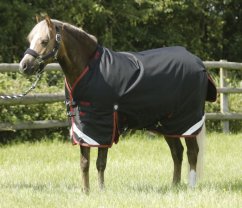 Nepromokavá výběhová deka pro pony Premier Equine Titan s krčním dílem 450g