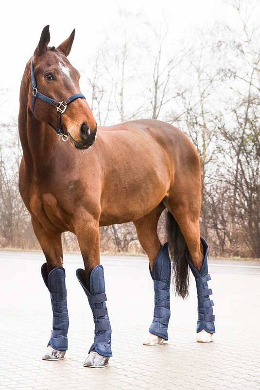 Transportní kamaše Horze