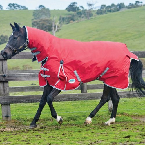 Nepromokavá deka pro koně s pevným krčním dílem WEATHERBEETA COMFITEC CLASSIC 100g