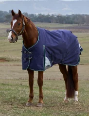 Waterproof Horse Blanket WEATHERBEETA ComFiTec Plus Dynamic 0G