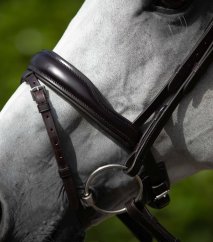 Premier Equine Rizzo Anatomic Flash Noseband – Brown