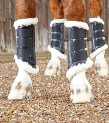 Gaiters with Premier Equine Techno Wool