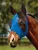 Insect mask Weatherbeeta ComFiTec Deluxe Stretch + 65% UV