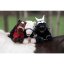 Cuddle Pony HKM