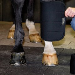 Polster für Back On Track Welltex-Bandagen