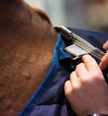 Deka Horseware Liner, 200g