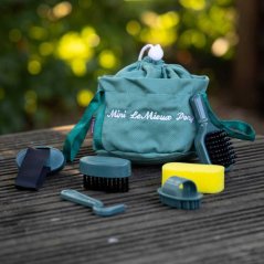LeMieux Cuddle Pony Sage Cleaning Set
