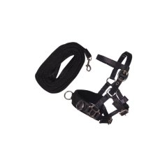 Lunge set for Hobby horsing HKM Kids