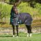 Nepromokavá deka pro koně WEATHERBEETA GREEN-TEC 900D 220g
