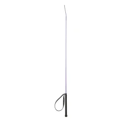 Dressage whip Austin HORZE