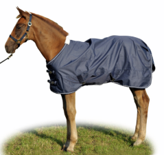 Hříběcí deka HKM Professional s polarfleece