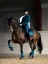 Dressage saddle pad Equestrian Stockholm Blue Meadow