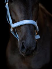 Ohlávka HorseGuard Malva