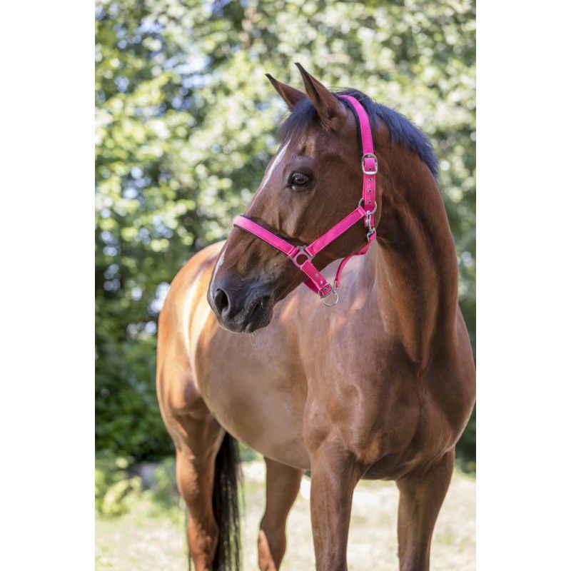 Stájová ohlávka pro koně NORTON FLUO - PONY