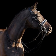 Weymouth bridle HVPLegacy deluxe