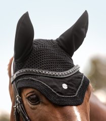 Fliegenohren St. Gallen