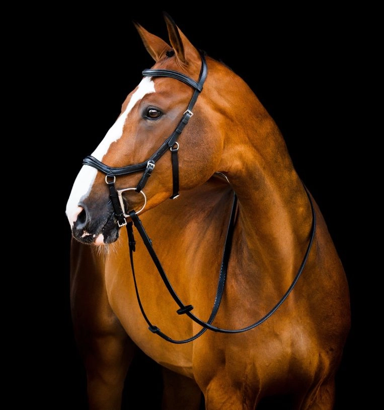 Uzdečka Horseware Micklem 2 Deluxe Competition, s otěžemi