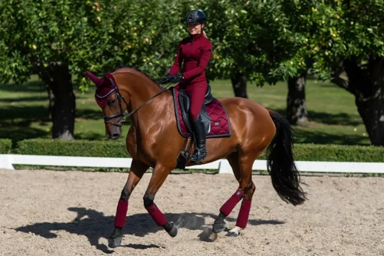 Dámská lehká bunda Equestrian Stockholm Bordeaux