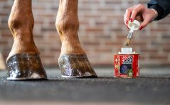 Olej na kopyta KEVIN BACON'S- Hoof Dressing Liquid