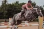Podsedlová dečka Equestrian Stockholm Pink Pearl Jump