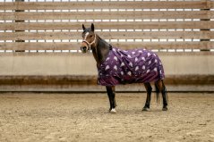 Nepromokavá deka pro pony EQUITHÈME Licorne 600D 220g
