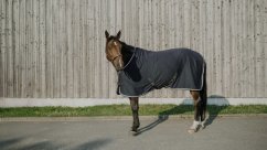 Odpocovací deka Equitheme Drycool Standard