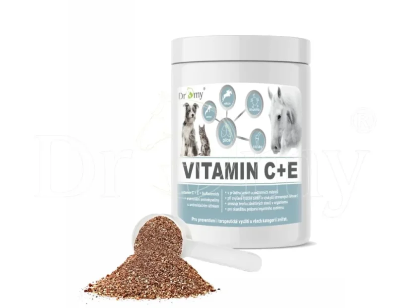Dromy Vitamin B+C+E + Lysin 1,5 kg