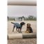 Decke für den Hund DIEGO & LOUNA „TEDDY“