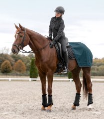 Regen-Nierendecke Salzburg