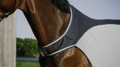 Lehká walker deka Equitheme Flycool