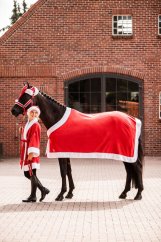 Odpocovací deka HORZE Christmas červená