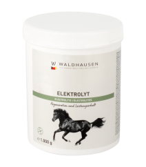 Elektrolyt - Regeneration und Leistungserhalt, 1kg