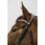 NORTON CLUB "DIVA" BRIDLE